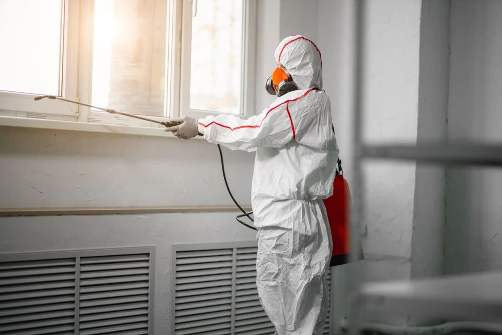 Professional mold remediation services in Morris, CT